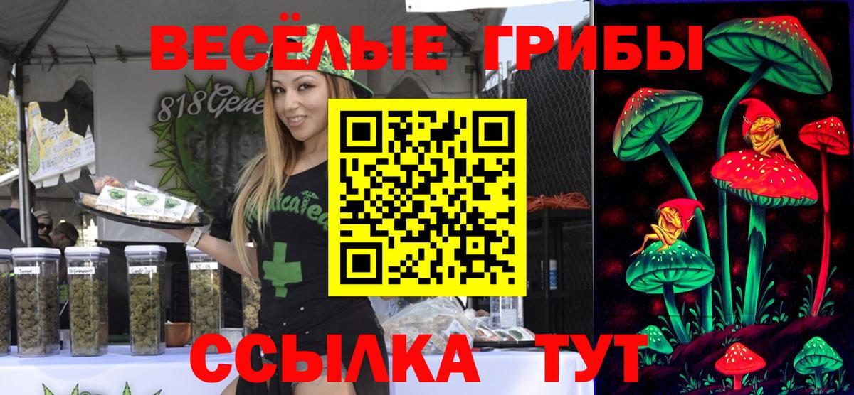 Галлюциногенные грибы ЛСД Кировск