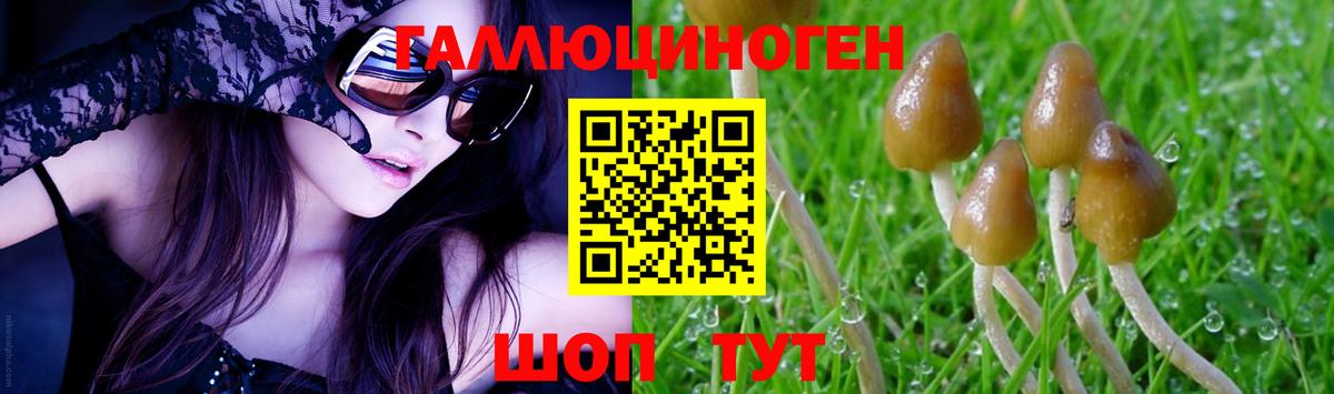 Кировск  Галлюциногенные грибы Psilocybe  Вход с VPN 